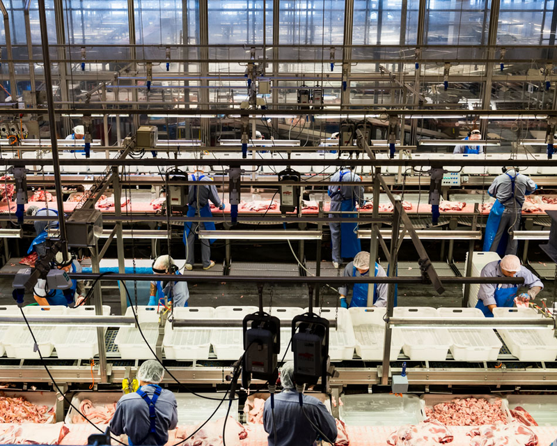 Illustration for article titled Take a Visual Tour of the World's Most Modern Slaughterhouse